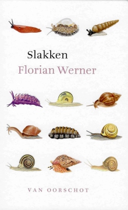 Slakken Cover